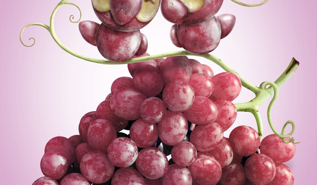 Campanha Frutas Comary com pássaros e uva tinta